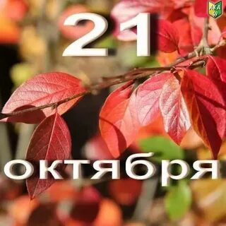 21 октября завтра