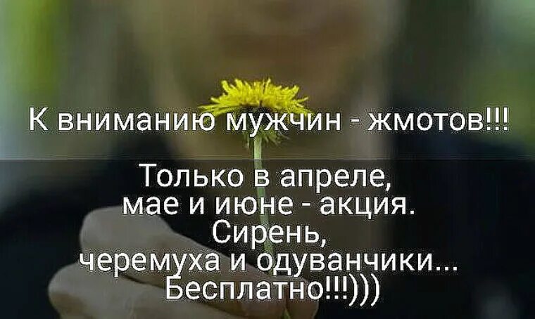 К вниманию мужчин жмотов. Цитаты про жадных мужчин. Высказывания про жадных мужчин. Статусы про жадных мужчин. Про жадных мужчин