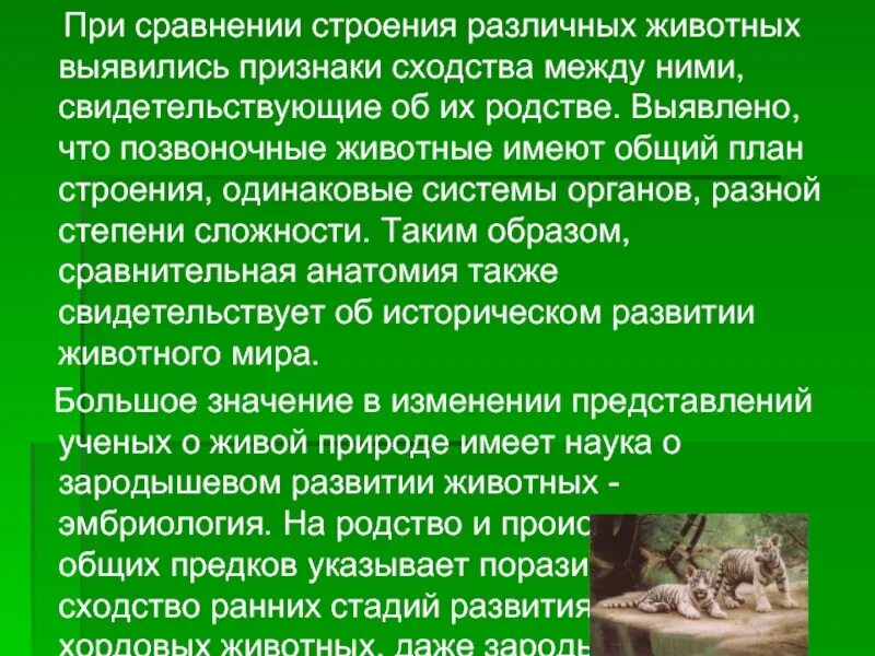 Сходство человека и животных свидетельствует об их. Сходство человека и животных. У человека и всех животных одинаковы. Сходство человека с млекопитающими. Эволюция животного из за чего.