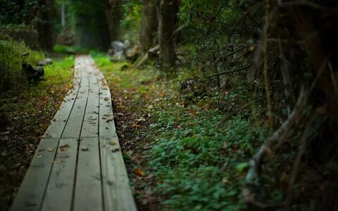 Get full path