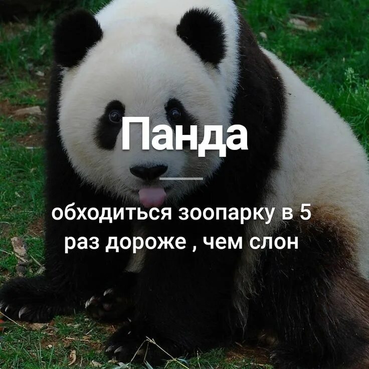 1 раз в зоопарке