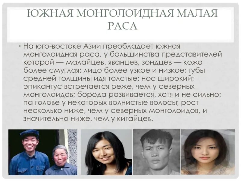 Южная монголоидная малая раса. Представители монголоидной расы. Северная монголоидная малая раса. Монголоидная раса малые расы.