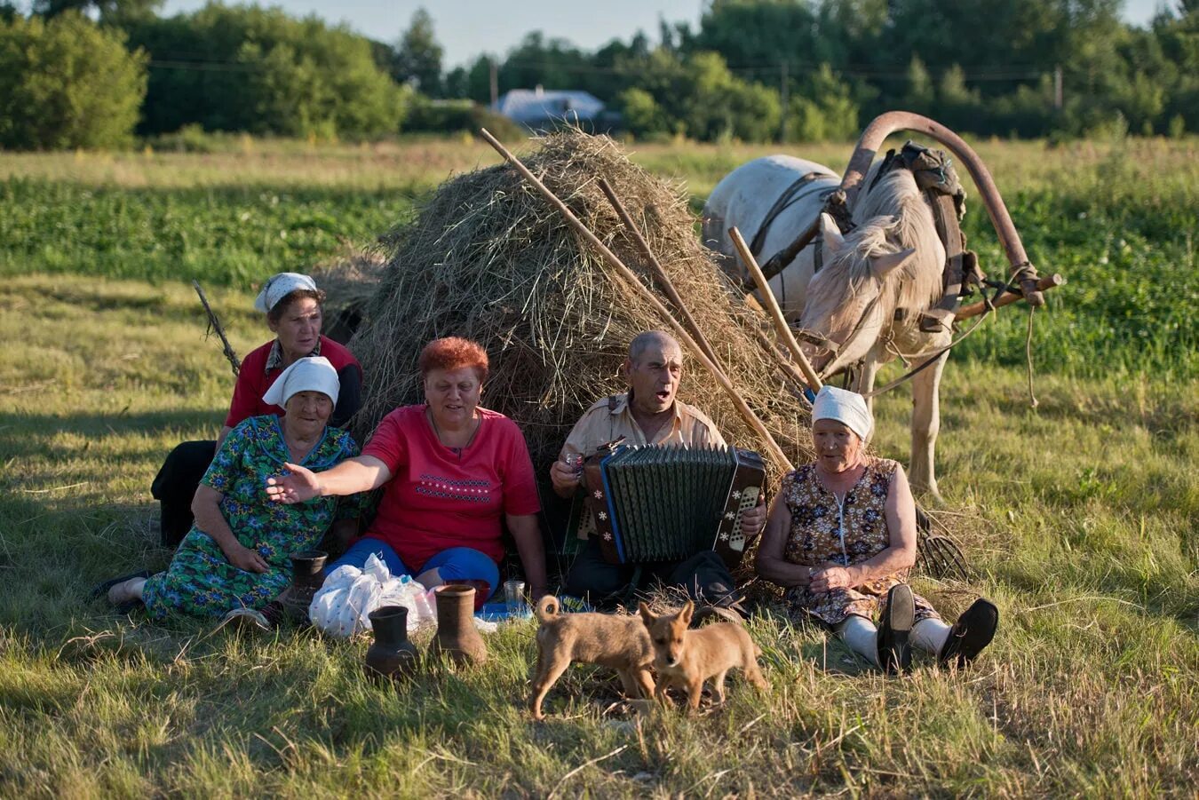 Жители сельской местности. Лето в деревне. Деревенские жители летом. Сельская жизнь. Сельская