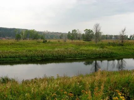 Край курья