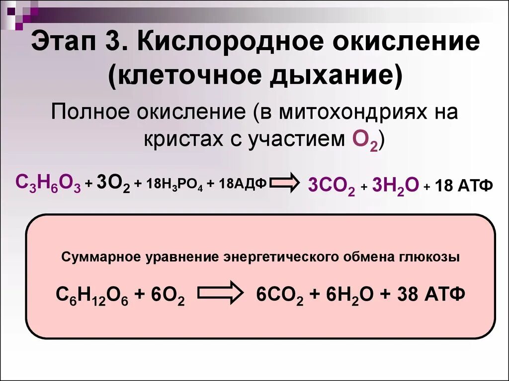 Дыхание клетки окисление