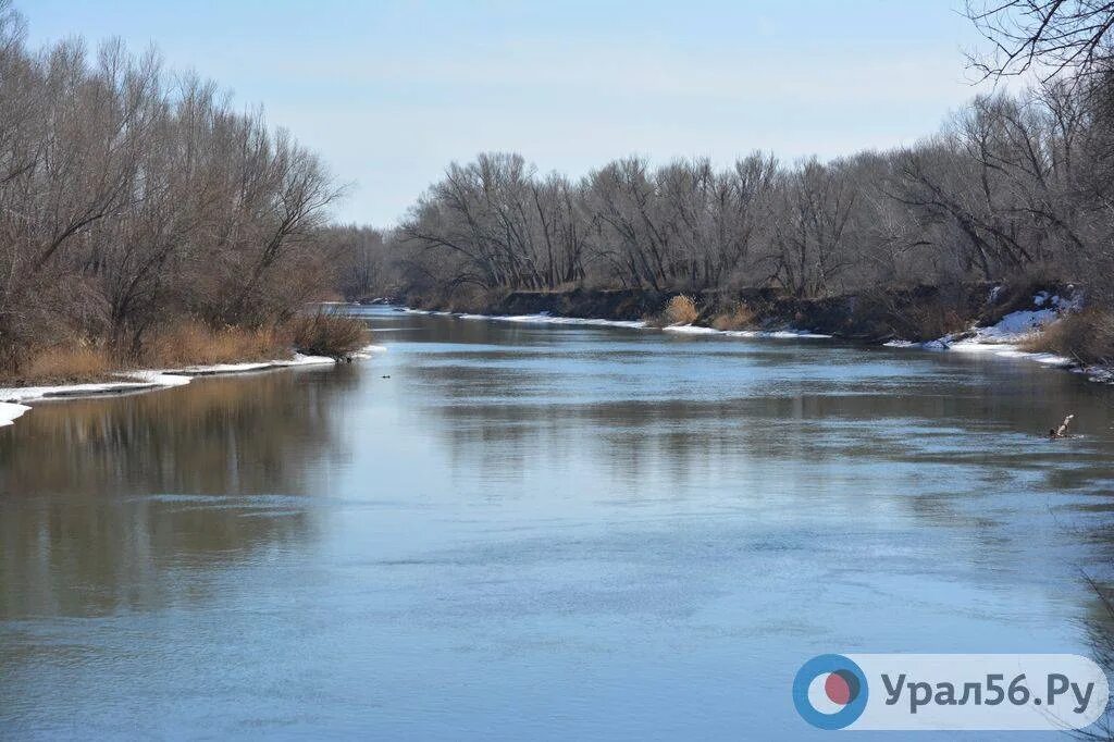 Ириклинское водохранилище сброс воды сейчас. Река Урал Орск. Река Урал Оренбург. Река Урал в Оренбургской области. Речка Урал в Оренбурге.