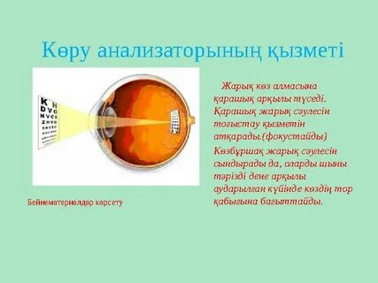 Жұдырықпен порно түсірген жігітті былғау