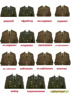 Бланки шаблоны формы