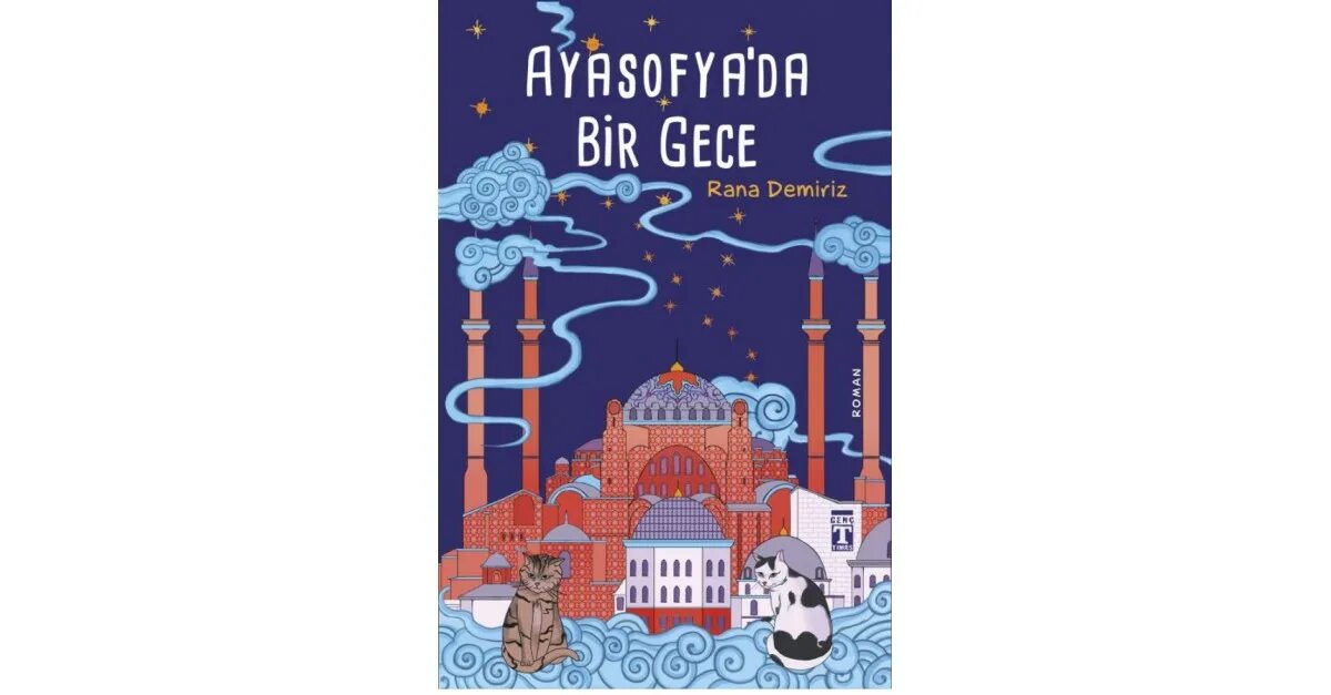 Bir gece. Bir gece