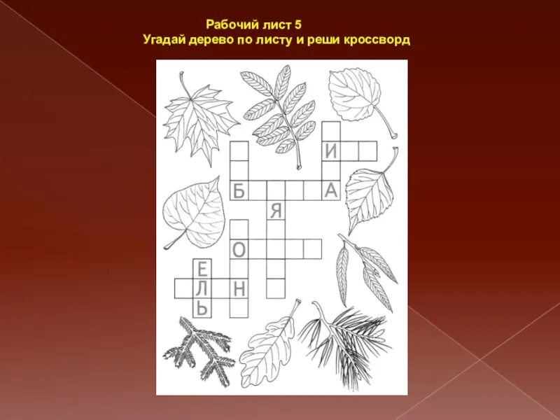 Игра Угадай дерево. Задание Угадай дерево по листьям. Угадай дерево по картинке. Кроссворд Угадай дерево по листьям. Дерева угадай слова