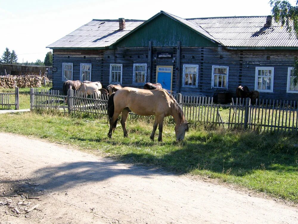 Подслушано мезень в контакте барахолка. Усть-Кыма Лешуконский район. Лешуконский район Архангельской. Усть Кыма Архангельская область. Деревня Чуласа Архангельская область Лешуконский район.