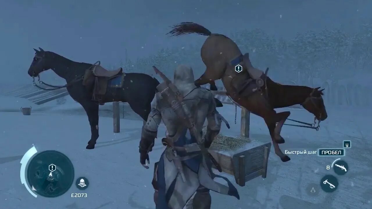 Лошади в ассасин Крид 3. Ассасин 3 лошади. Assassins Creed Origins конь. Ассасин крид лошади