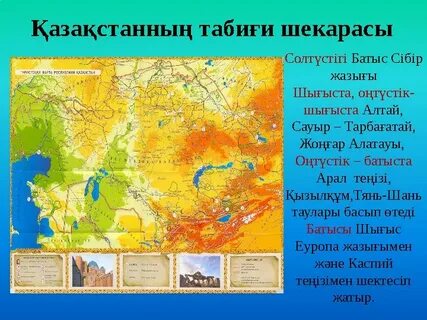 Қалың мүшесі бар минеттің фотосы