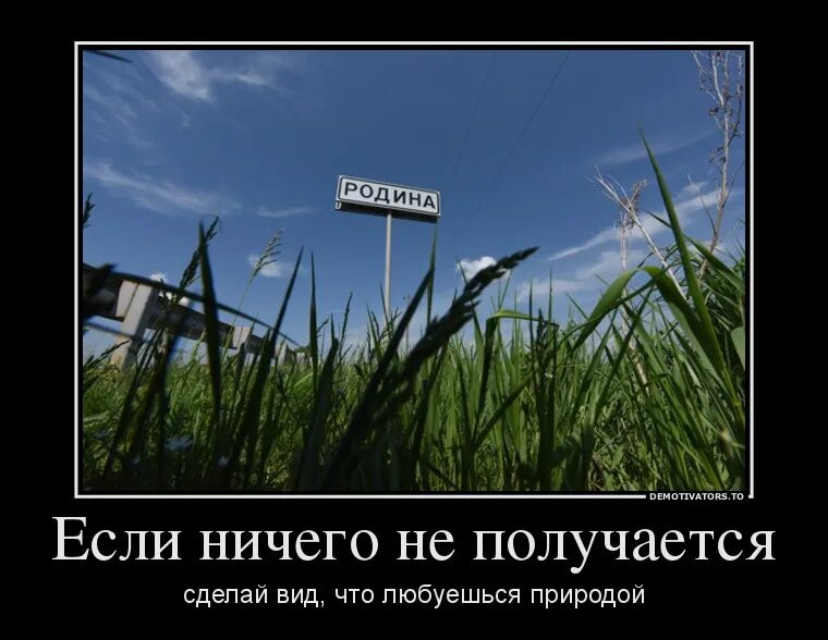 Родина демотиваторы. Путают родину и государство. Родина и государство. Родина приколы. Я родину свою люблю но ненавижу государство