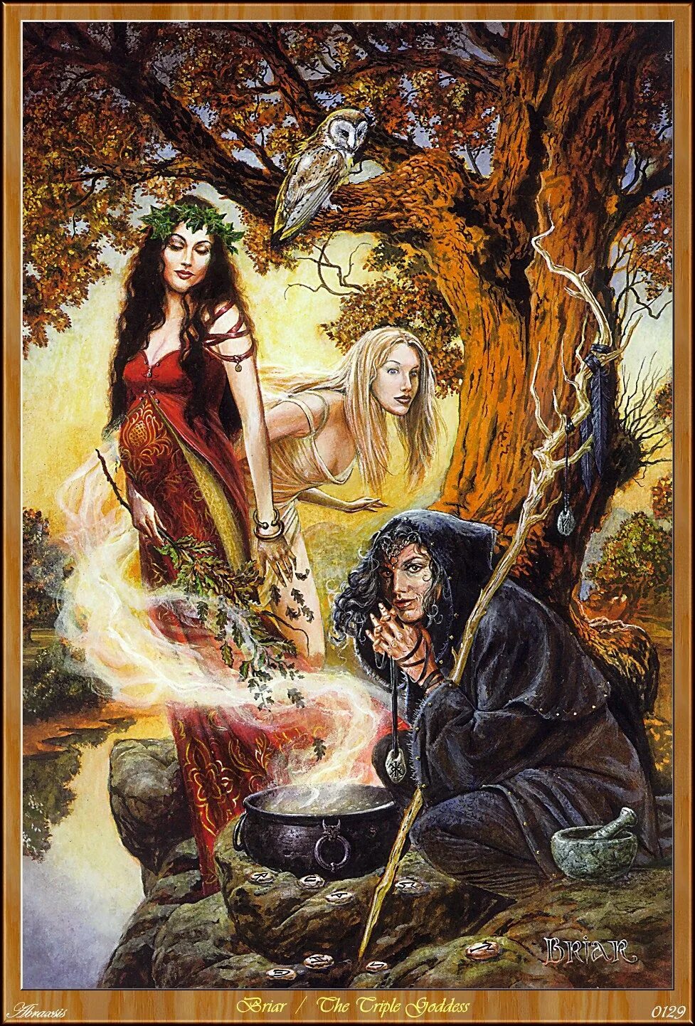 Скандинавская ведьма Вельва. Ирландская богиня Медб. Баба Яга Ягиня богиня. Богиня Викка МАБОН. Лесная ведунья книга читать