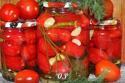Соленые помидоры на зиму простой рецепт