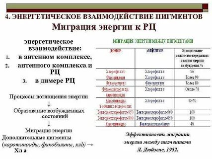 Энергетические взаимодействия