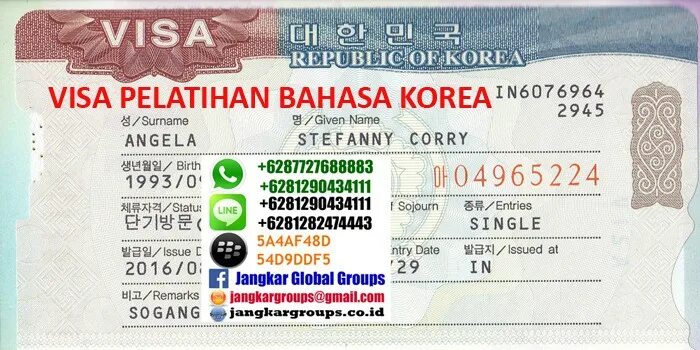 Нужна ли виза в корею 2024. Виза в Южную Корею. Korea visa. Виза в Республику Корея. Виза Корея d4.