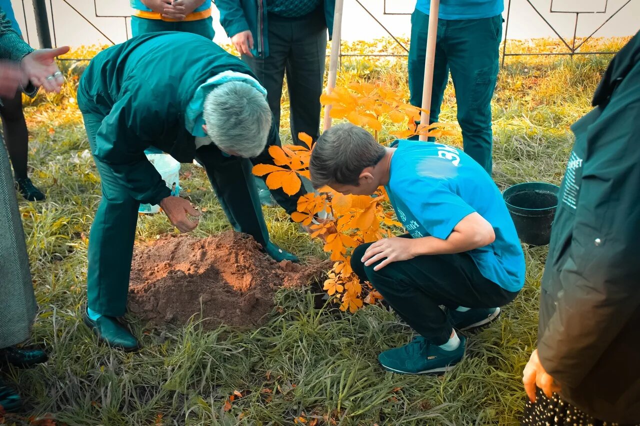 Высадка деревьев акция