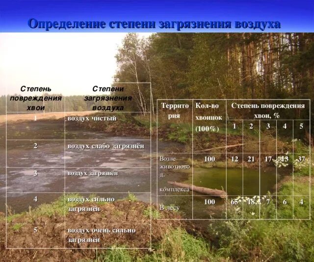 Оценка степени загрязнения воздуха. Определение степени загрязнения воздуха. оценка степени загрязненности воздуха. оценка степени загрязнения атмосферы. загрязнение воздуха это определение.