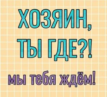 Включи фон я хозяин