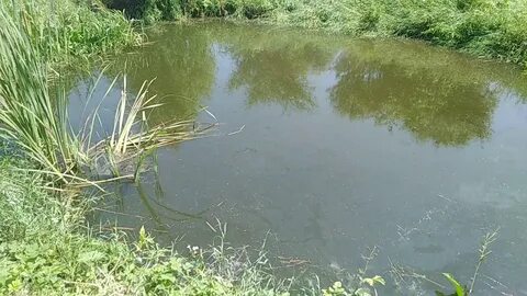 Копанка
