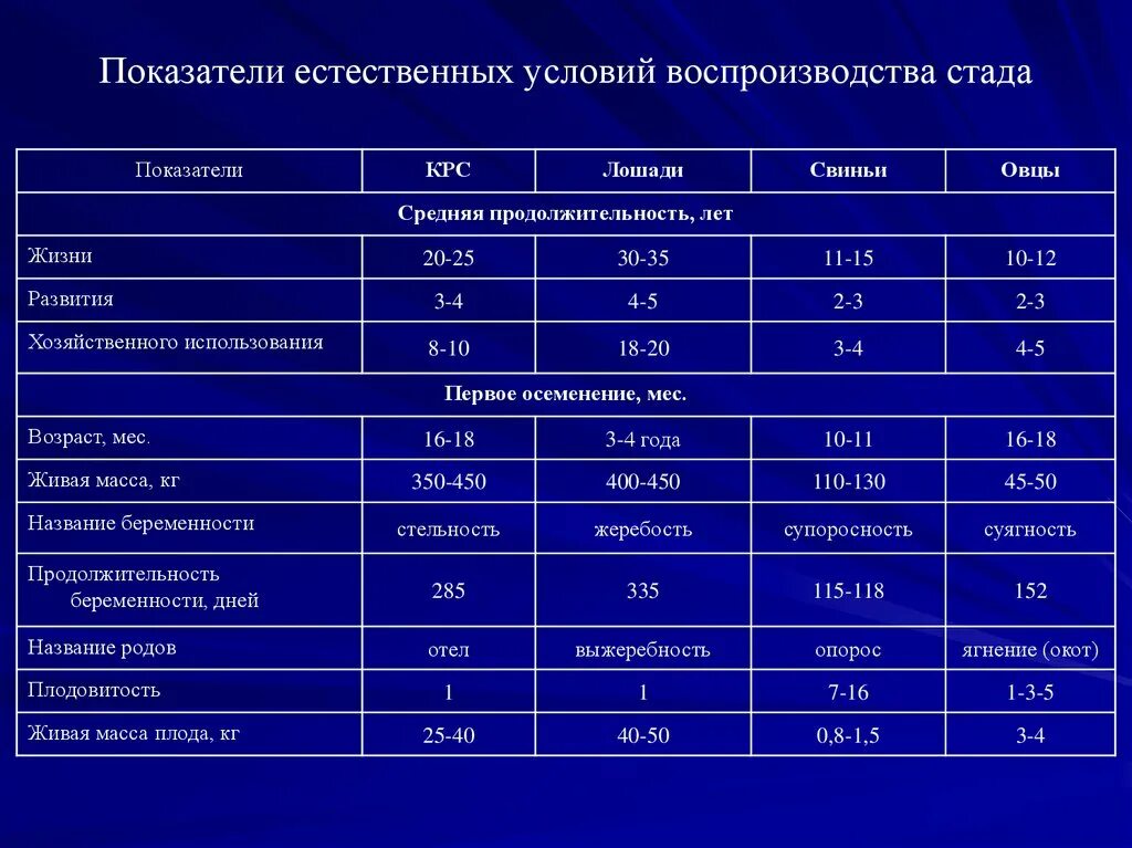 Как связаны плодовитость продолжительность жизни и размеры