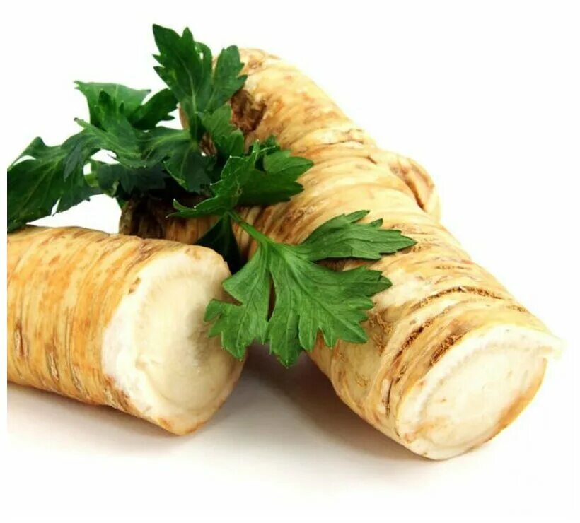 Хрен. Хрен корнеплод. Тертый хрен. Хрен овощ. Horseradish.