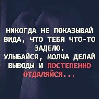 Выводы цитаты