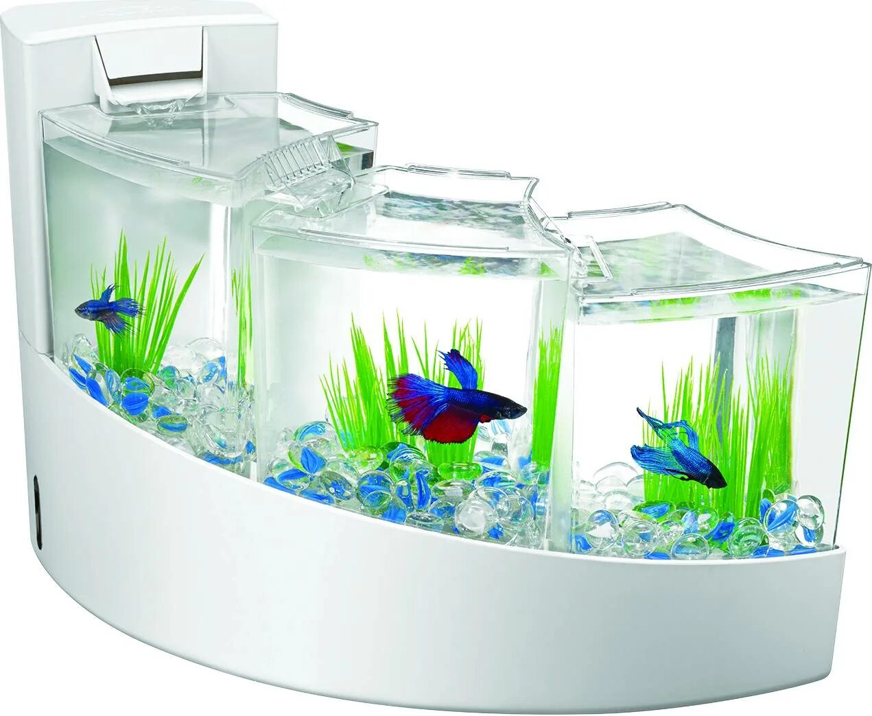 Аквариумы Aqueon 2 Gallon Betta Falls Aquarium Kit. Аквариум Box Betta 1.3. Комплект Aqueon Betta Falls. Аквариум Aqueon Betta Falls Deaktop. Фильтр для аквариума для петушка