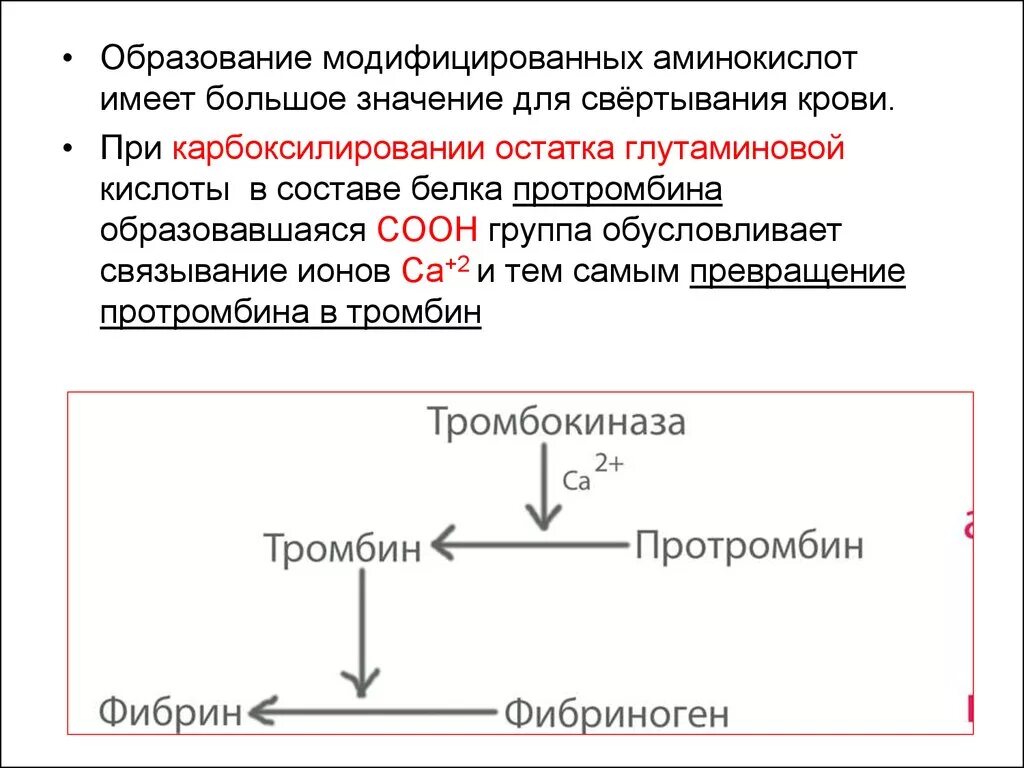 Ферменты свертывания крови. Карбоксилирование глутаминовой кислоты реакция. Карбоксилирование остатков глутаминовой кислоты. Карбоксилирование остатков глутаминовой кислоты белка протромбина. Реакция карбоксилирования остатков глутаминовой.