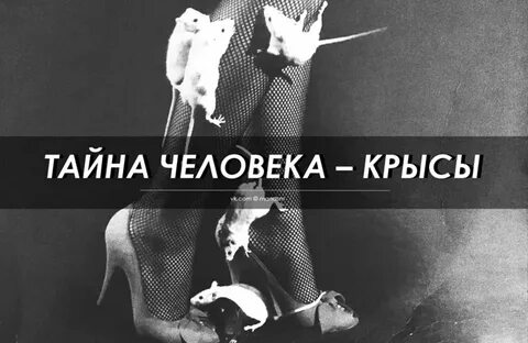Человек крыса это