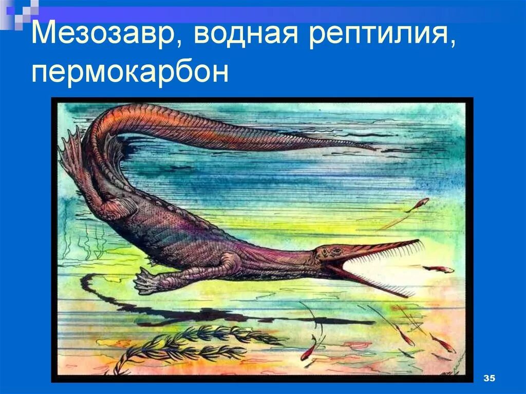 Мезозавр. Мезозавр мезозавр. мезозавр фауна пермского периода.