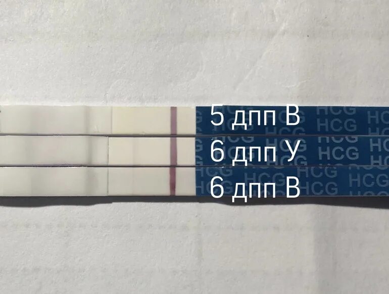 6 дпп тест форум. 6 ДПП тест. Призрак на 6 ДПП. 6дпп тест на беременность. 5 ДПП тест.