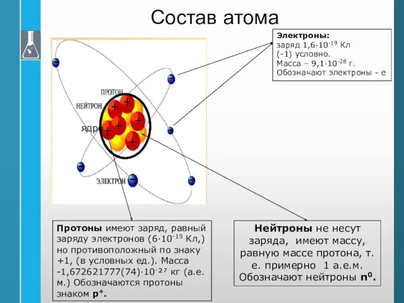 Состав атома. Электроны состоят из атомов. Протон частица заряд. Человек состоит из атомов.