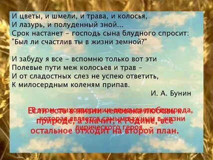 Бунин цветы и шмели трава колосья