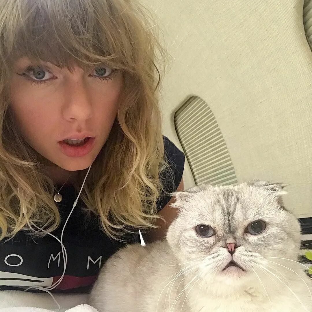 Swift cat