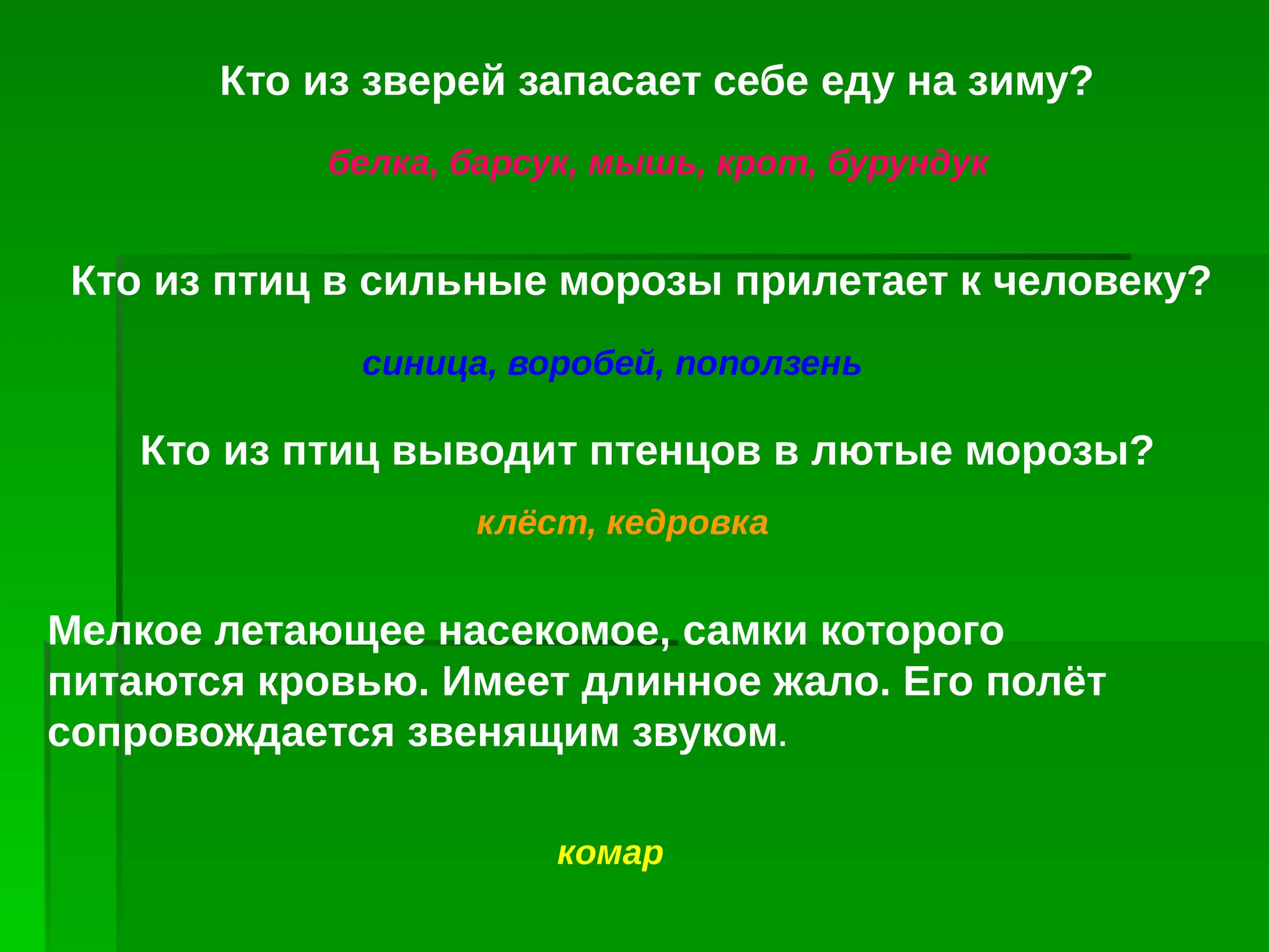 Законы лесной жизни 3 класс. Законы жизни леса. Законы жизни леса. Законы жизни леса. Сообщение о жизни леса.