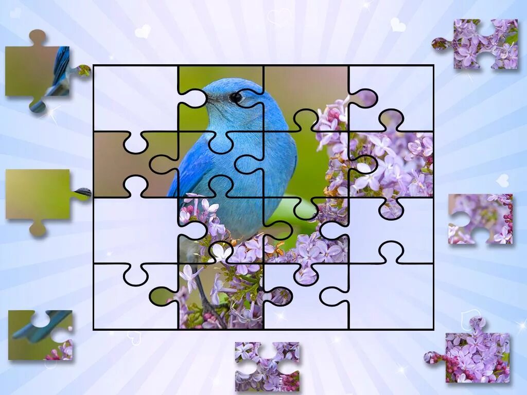 Puzzle bird