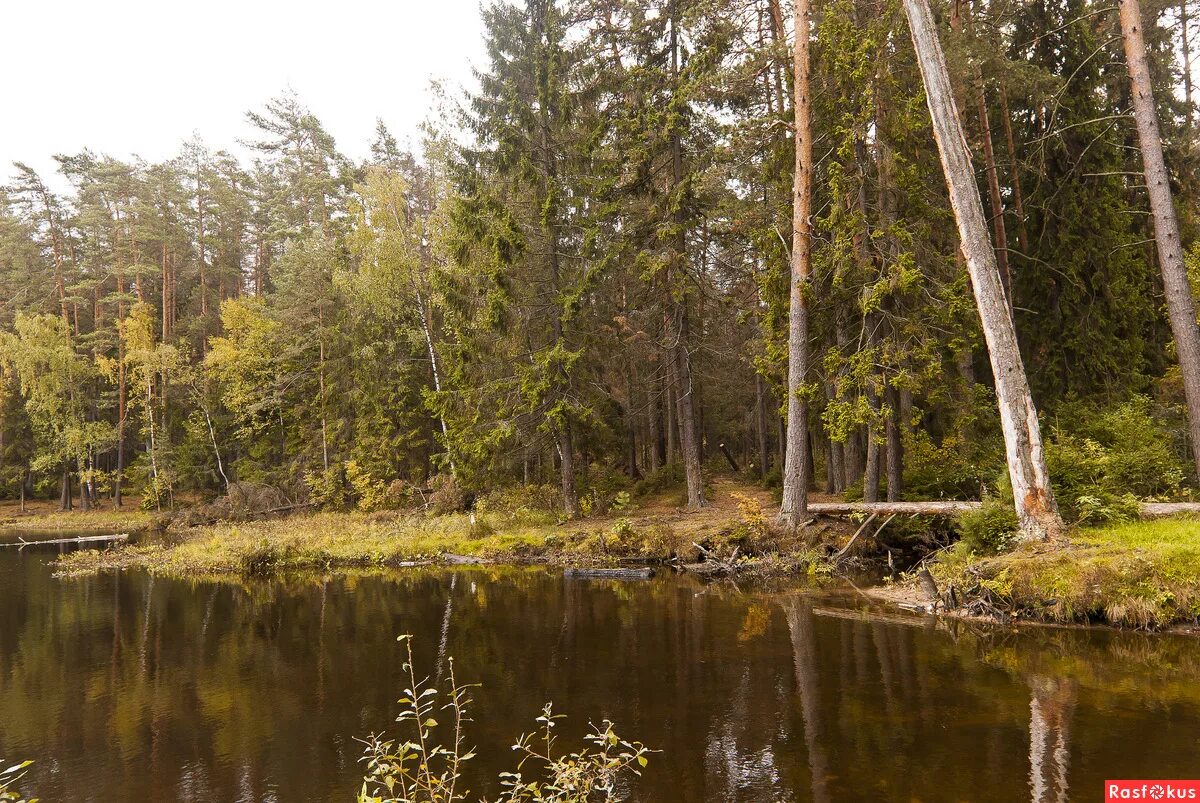 деревня субботино калужская область дзержинский район. река волга в старице. село монастырское юрьянского района. зюздинский район кировской области деревни. деревня малиновское калужская область дзержинский район.