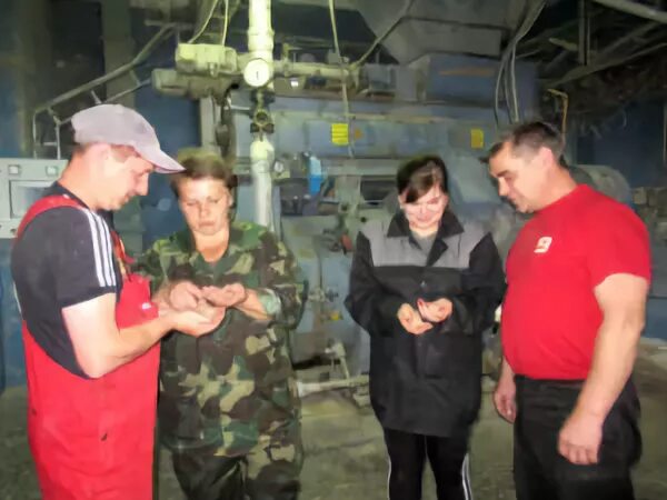 Климовичский кхп. Климовичский кхп. Комбинат хлебопродуктов. Климовичский кхп. Кхп.