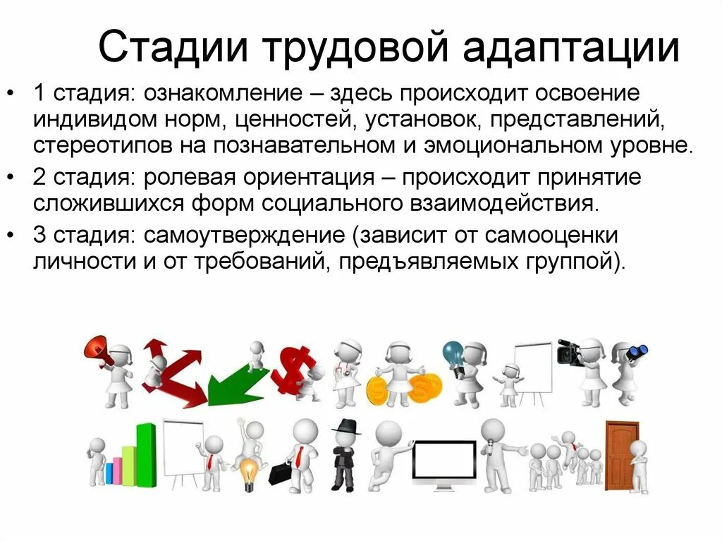 Стадии процесса трудовой адаптации. Стадии трудовой адаптации работника. Этапы трудовой адаптации персонала. Этапы социальной адаптации. Ролевой порядок