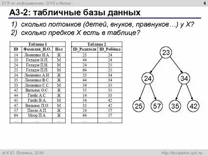 Сколько прадедов
