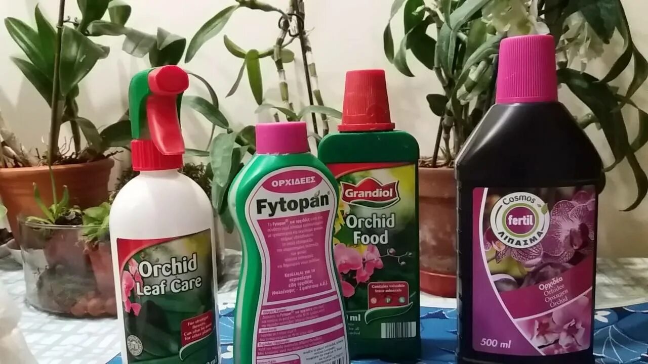 Можно поливать цветы удобрением для орхидей. Удобрение для орхидей. удобрение для орхидей в домашних. удобрение для орхидей для цветения. сухое удобрение орхидей.