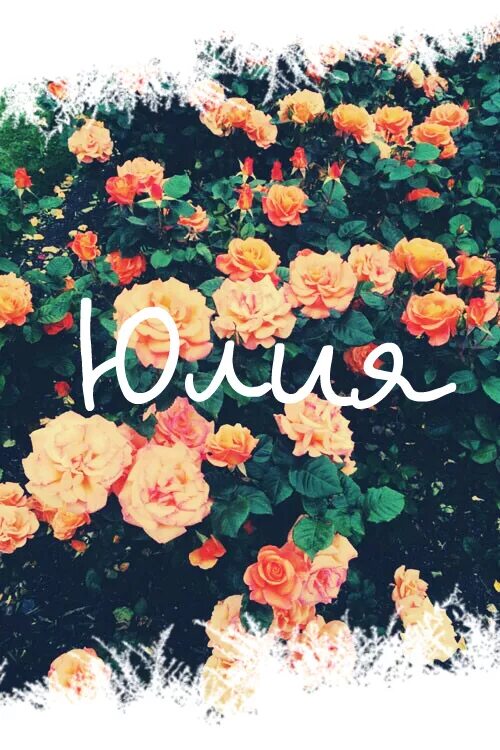 имя юля фото. имя юля фото. красивые обои с именами. цветок имени юлия. юля надпись.