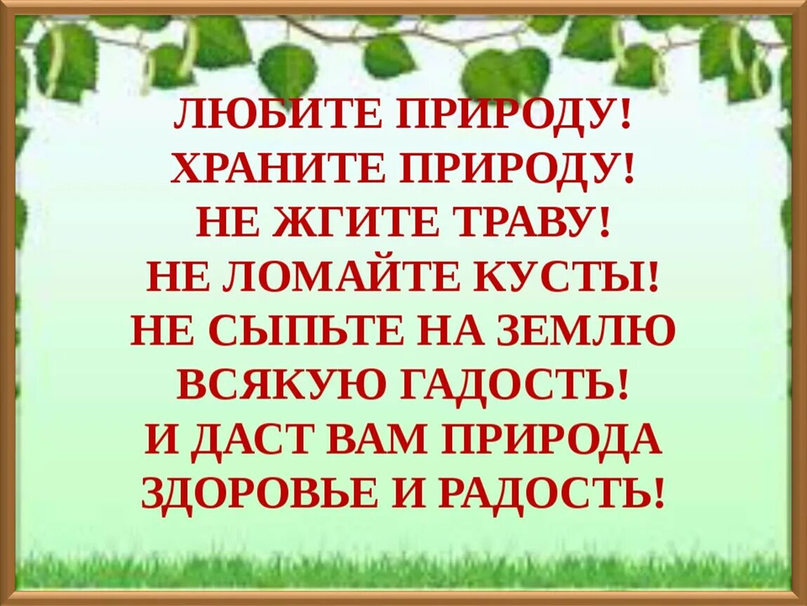 Стих берегите мир. Стих берегите природу. стихи про экологию. стихотворение береги природу. береги природу стихи для детей.