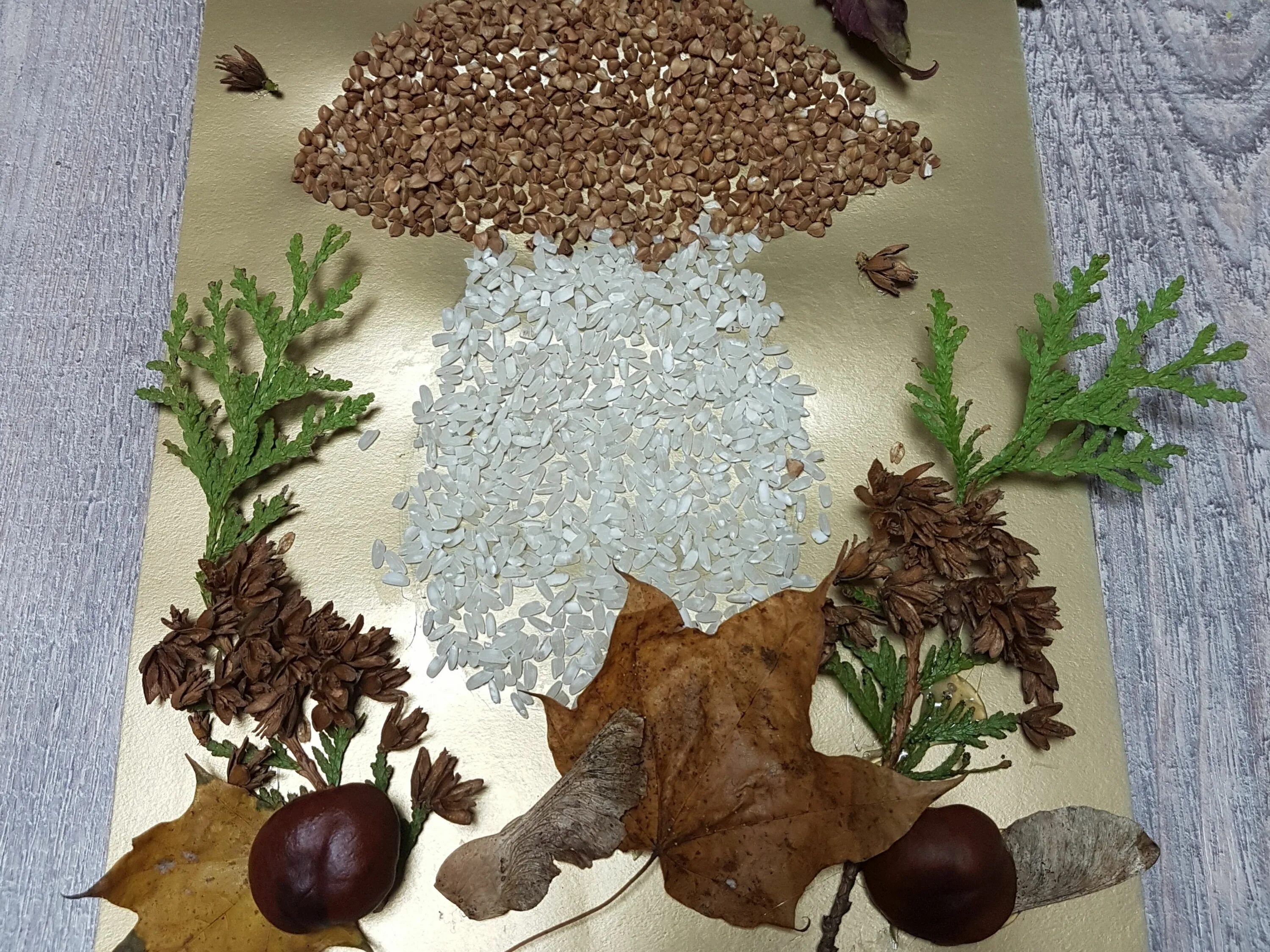 Крупа природный материал. Крупа природный материал. Поделки из крупы. Крупа природный материал. Крупа природный материал.