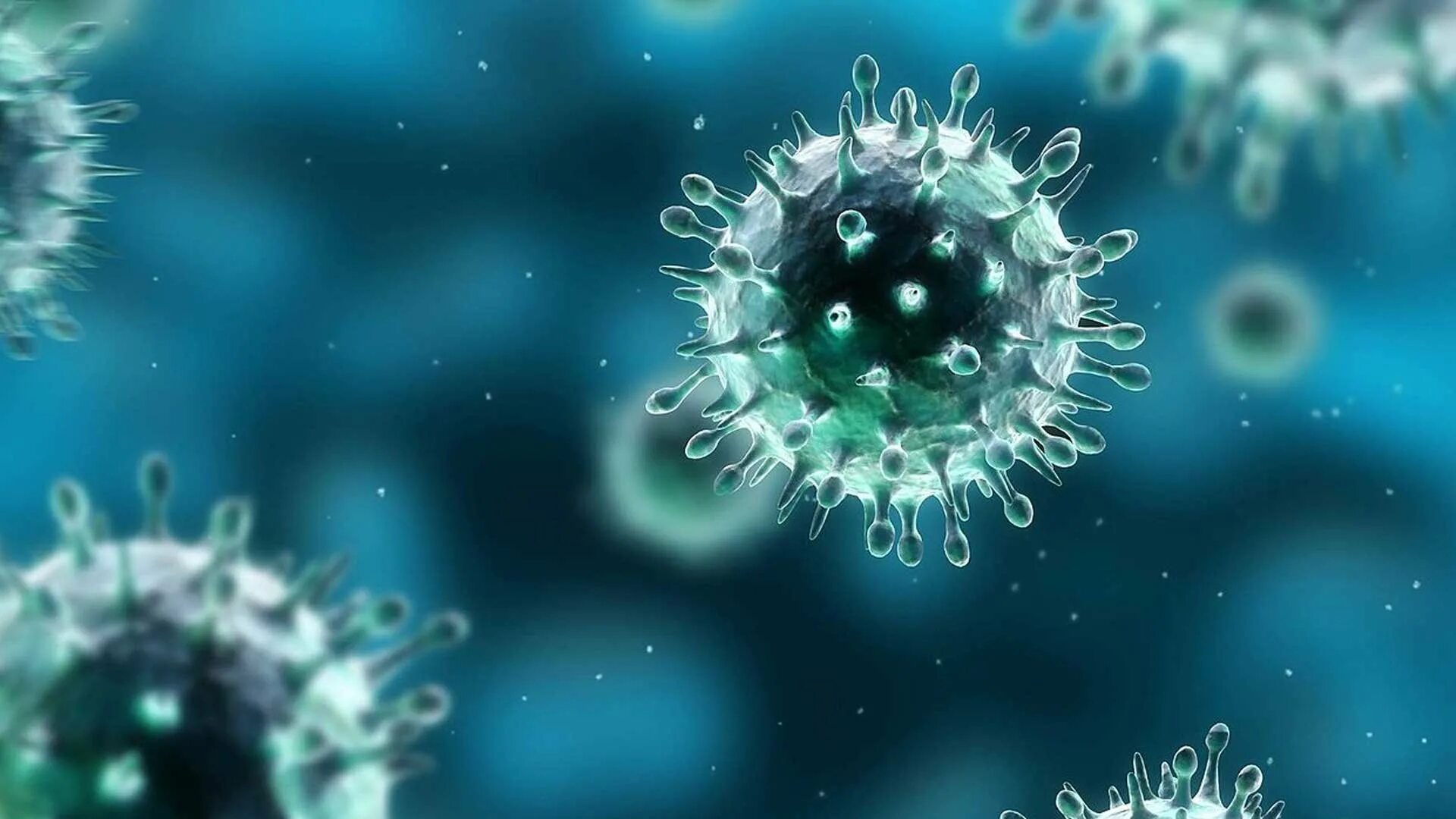 Вирус гуляет. Вирус коронавирус. Вирус гриппа. Бактерия гриппа. Изображение вируса.
