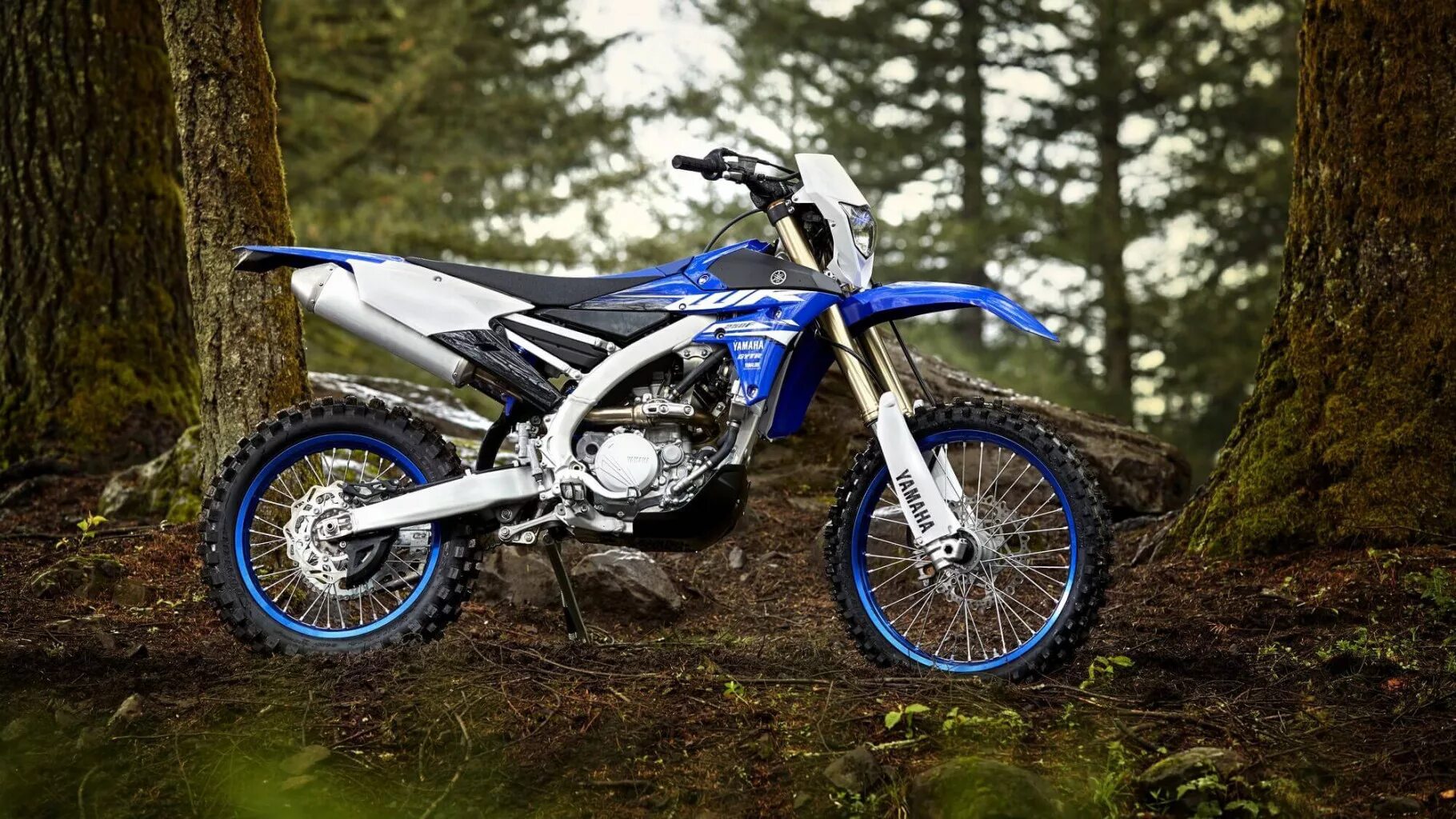 Мотоцикл эндуро фото. Yamaha wr250f. Мотоцикл Yamaha wr250f. Yamaha wr250f 2020. Yamaha wr250f 2001.