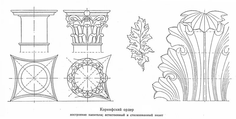 Работы без ордера. Коринфский ордер в архитектуре. Коринфский ордер схема Капитель. Акант Коринфский ордер. Построение капители Коринфского ордера.